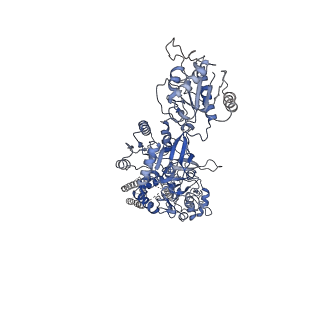 31228_7eor_A_v1-2
Structure of the human GluN1/GluN2A NMDA receptor in the glycine/glutamate/GNE-6901 bound state