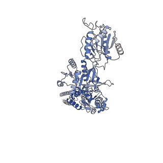 31229_7eos_A_v1-2
Structure of the human GluN1/GluN2A NMDA receptor in the glycine/glutamate bound state