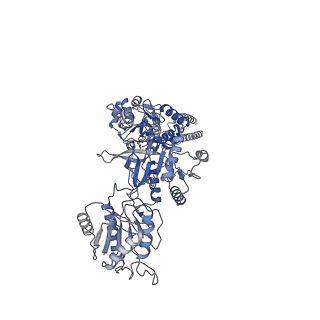 31229_7eos_C_v1-2
Structure of the human GluN1/GluN2A NMDA receptor in the glycine/glutamate bound state