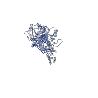31229_7eos_D_v1-2
Structure of the human GluN1/GluN2A NMDA receptor in the glycine/glutamate bound state