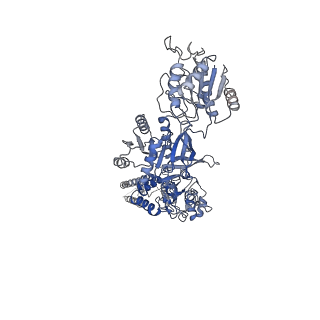 31230_7eot_A_v1-2
Structure of the human GluN1/GluN2A NMDA receptor in the CGP-78608/glutamate bound state