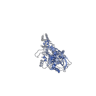 31230_7eot_B_v1-2
Structure of the human GluN1/GluN2A NMDA receptor in the CGP-78608/glutamate bound state