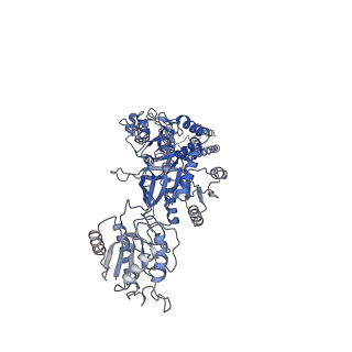 31230_7eot_C_v1-2
Structure of the human GluN1/GluN2A NMDA receptor in the CGP-78608/glutamate bound state