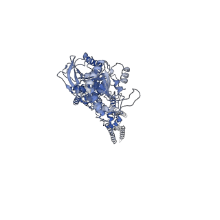 31230_7eot_D_v1-2
Structure of the human GluN1/GluN2A NMDA receptor in the CGP-78608/glutamate bound state