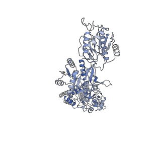 31231_7eou_A_v1-2
Structure of the human GluN1/GluN2A NMDA receptor in the glycine/glutamate/GNE-6901/9-AA bound state