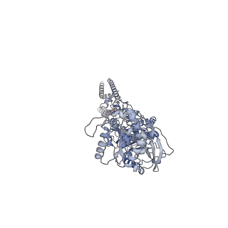 31231_7eou_B_v1-2
Structure of the human GluN1/GluN2A NMDA receptor in the glycine/glutamate/GNE-6901/9-AA bound state