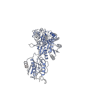 31231_7eou_C_v1-2
Structure of the human GluN1/GluN2A NMDA receptor in the glycine/glutamate/GNE-6901/9-AA bound state