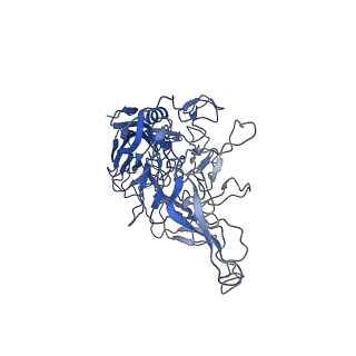 28522_8ep9_3_v1-0
The capsid structure of Human Parvovirus 4