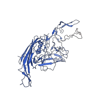 28522_8ep9_4_v1-0
The capsid structure of Human Parvovirus 4