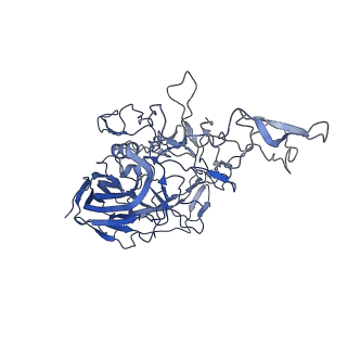 28522_8ep9_6_v1-0
The capsid structure of Human Parvovirus 4