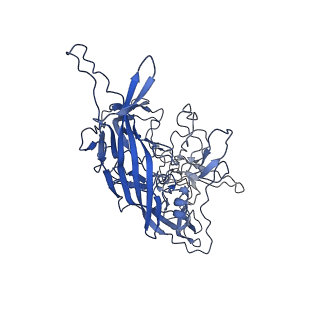 28522_8ep9_7_v1-0
The capsid structure of Human Parvovirus 4