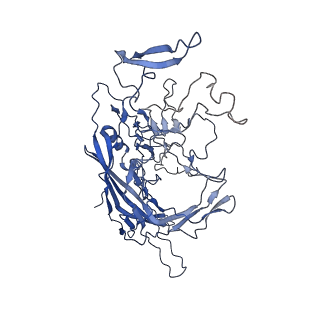 28522_8ep9_8_v1-0
The capsid structure of Human Parvovirus 4