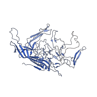 28522_8ep9_B_v1-0
The capsid structure of Human Parvovirus 4
