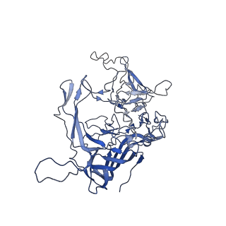 28522_8ep9_C_v1-0
The capsid structure of Human Parvovirus 4