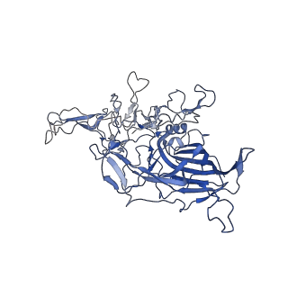 28522_8ep9_D_v1-0
The capsid structure of Human Parvovirus 4