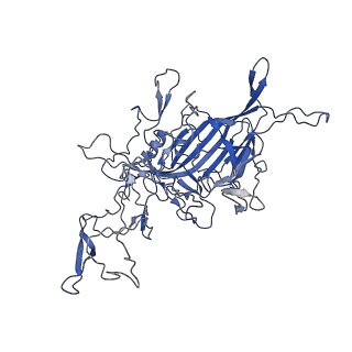 28522_8ep9_E_v1-0
The capsid structure of Human Parvovirus 4
