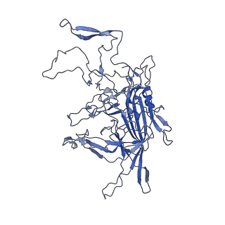28522_8ep9_F_v1-0
The capsid structure of Human Parvovirus 4