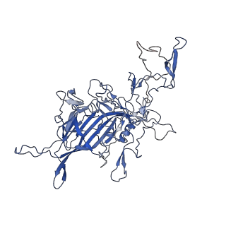 28522_8ep9_G_v1-0
The capsid structure of Human Parvovirus 4