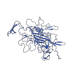 28522_8ep9_I_v1-0
The capsid structure of Human Parvovirus 4