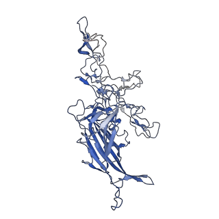 28522_8ep9_J_v1-0
The capsid structure of Human Parvovirus 4
