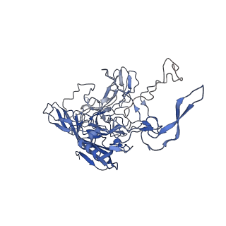 28522_8ep9_M_v1-0
The capsid structure of Human Parvovirus 4