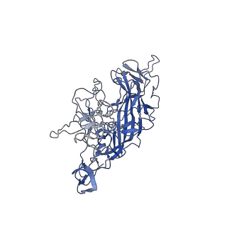 28522_8ep9_N_v1-0
The capsid structure of Human Parvovirus 4