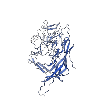 28522_8ep9_O_v1-0
The capsid structure of Human Parvovirus 4