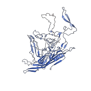 28522_8ep9_P_v1-0
The capsid structure of Human Parvovirus 4