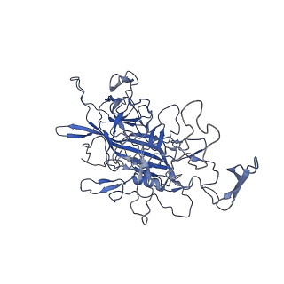 28522_8ep9_Q_v1-0
The capsid structure of Human Parvovirus 4