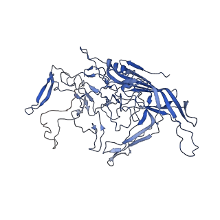28522_8ep9_R_v1-0
The capsid structure of Human Parvovirus 4