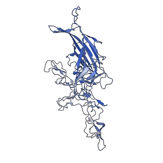 28522_8ep9_S_v1-0
The capsid structure of Human Parvovirus 4