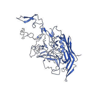 28522_8ep9_T_v1-0
The capsid structure of Human Parvovirus 4