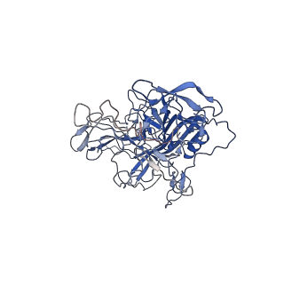 28522_8ep9_U_v1-0
The capsid structure of Human Parvovirus 4