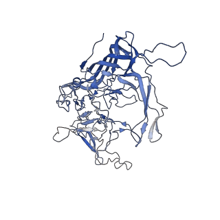 28522_8ep9_V_v1-0
The capsid structure of Human Parvovirus 4