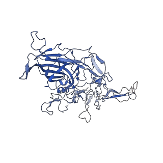 28522_8ep9_W_v1-0
The capsid structure of Human Parvovirus 4