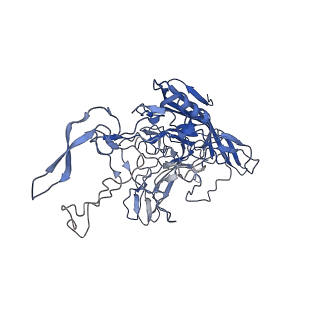 28522_8ep9_X_v1-0
The capsid structure of Human Parvovirus 4