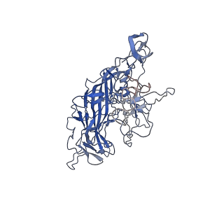 28522_8ep9_Y_v1-0
The capsid structure of Human Parvovirus 4