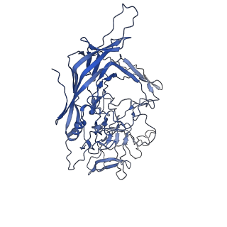 28522_8ep9_Z_v1-0
The capsid structure of Human Parvovirus 4