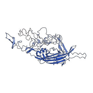 28522_8ep9_b_v1-0
The capsid structure of Human Parvovirus 4