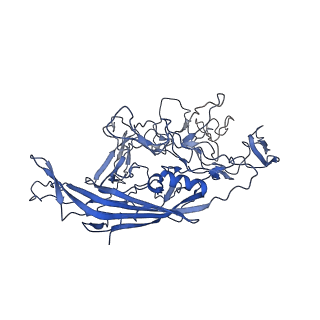 28522_8ep9_c_v1-0
The capsid structure of Human Parvovirus 4