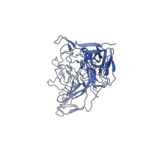 28522_8ep9_d_v1-0
The capsid structure of Human Parvovirus 4