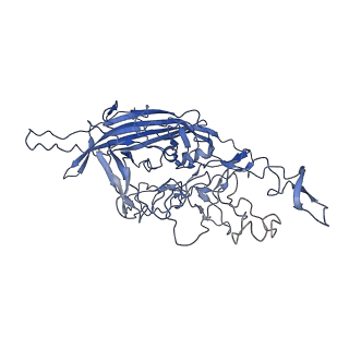 28522_8ep9_e_v1-0
The capsid structure of Human Parvovirus 4