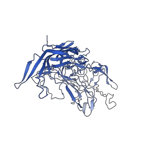 28522_8ep9_h_v1-0
The capsid structure of Human Parvovirus 4