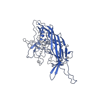 28522_8ep9_i_v1-0
The capsid structure of Human Parvovirus 4
