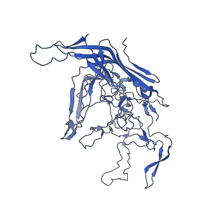 28522_8ep9_j_v1-0
The capsid structure of Human Parvovirus 4