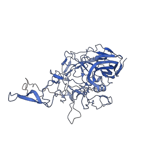 28522_8ep9_k_v1-0
The capsid structure of Human Parvovirus 4