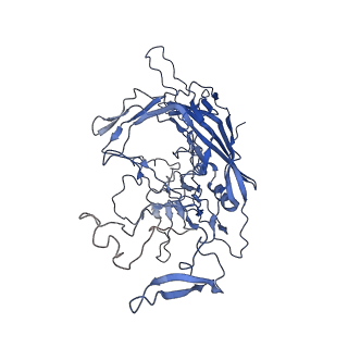 28522_8ep9_l_v1-0
The capsid structure of Human Parvovirus 4