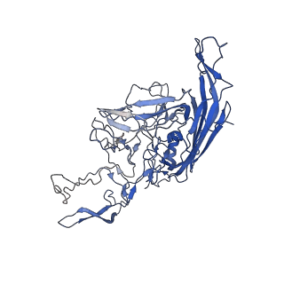 28522_8ep9_m_v1-0
The capsid structure of Human Parvovirus 4