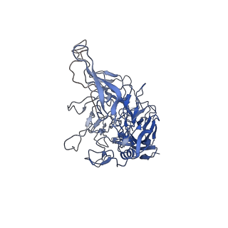 28522_8ep9_n_v1-0
The capsid structure of Human Parvovirus 4