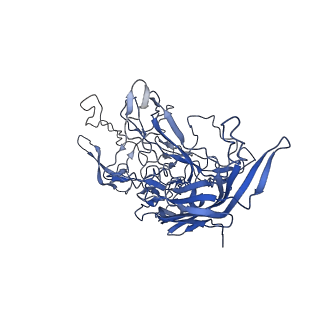 28522_8ep9_o_v1-0
The capsid structure of Human Parvovirus 4
